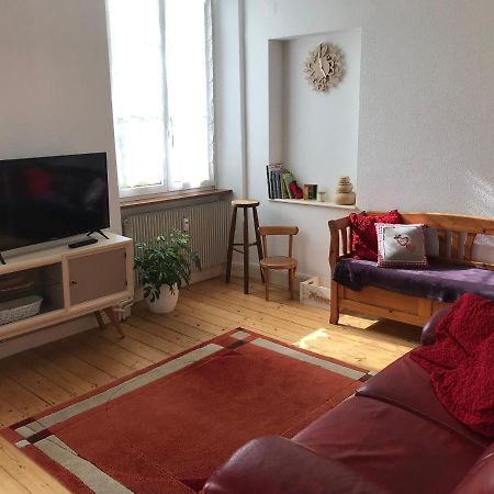 Le Clos Des Iris - Gite Rural 95 M2 Tout Confort En Alsace Bossue Domfessel Екстер'єр фото