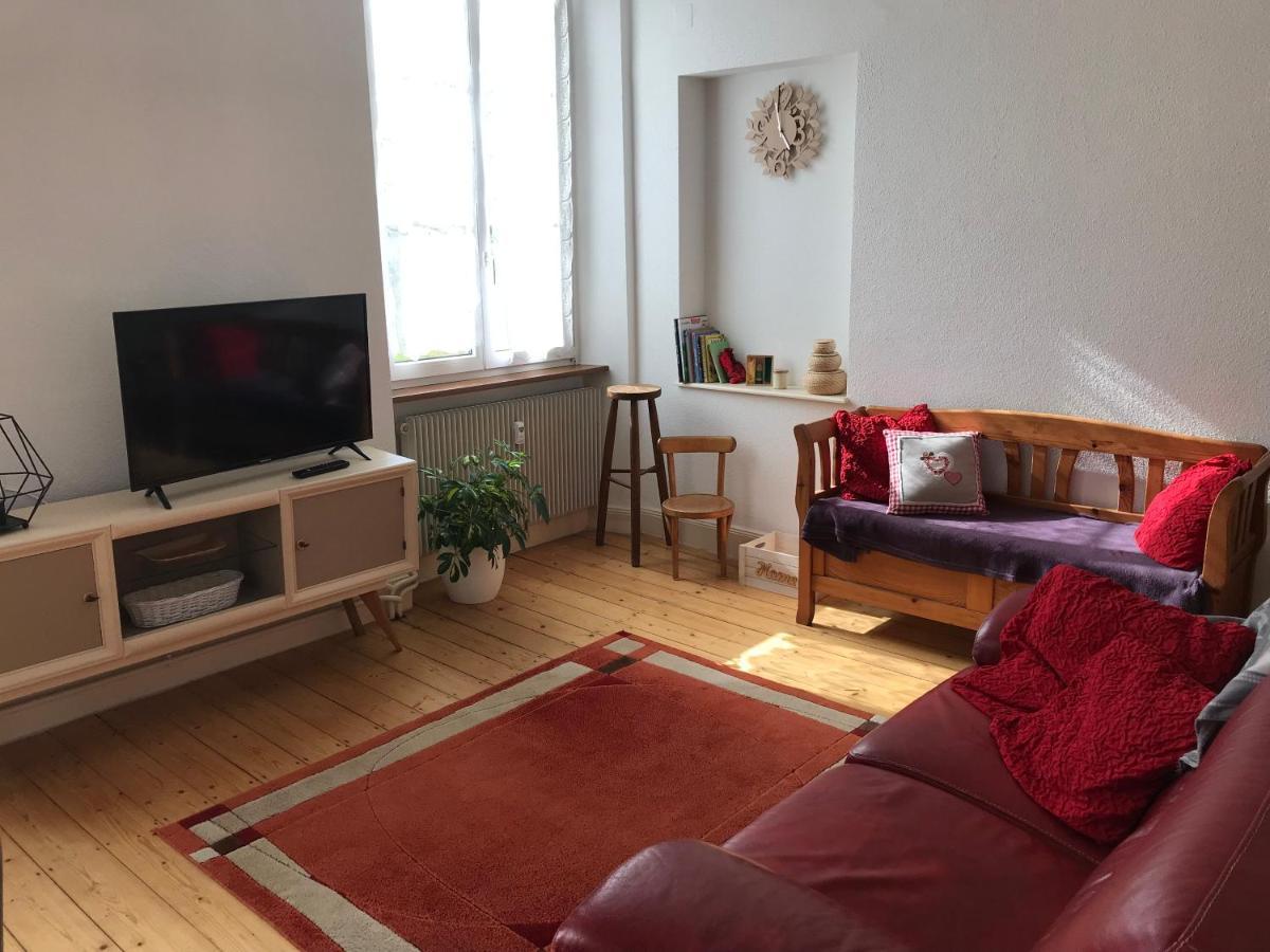 Le Clos Des Iris - Gite Rural 95 M2 Tout Confort En Alsace Bossue Domfessel Екстер'єр фото